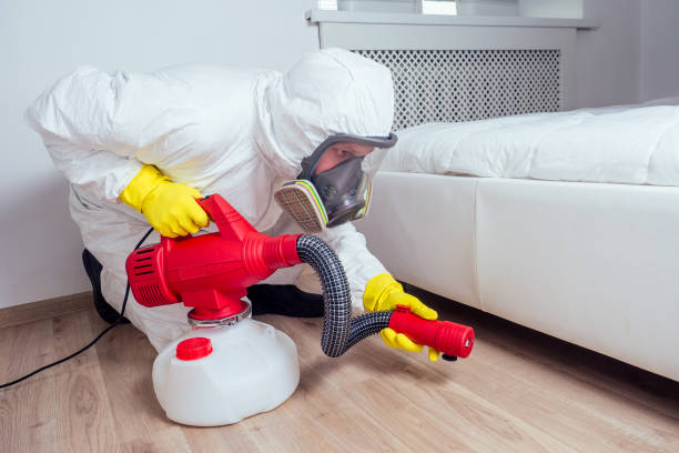 Best Exterminator Services  in Los Altos, CA